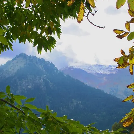 Evilion Traditional Plakoton