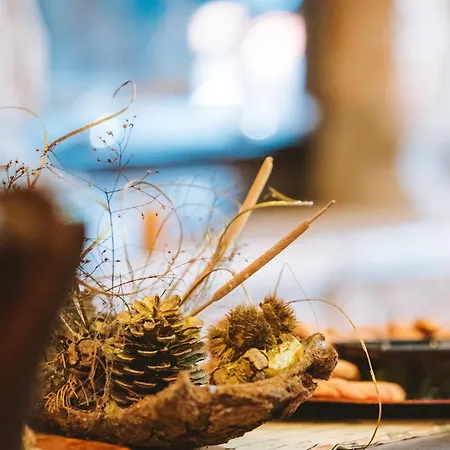 Evilion Traditional 3*