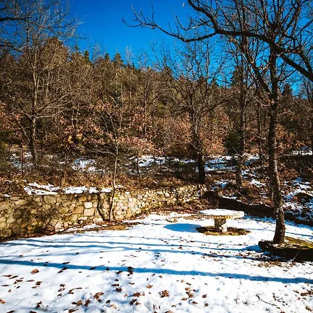 Evilion Traditional 3* Plakoton