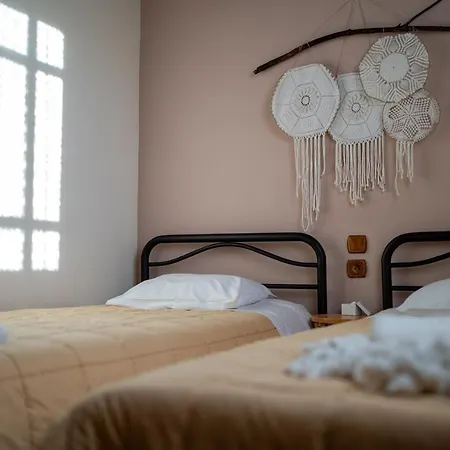 Evilion Traditional 3* Plakoton