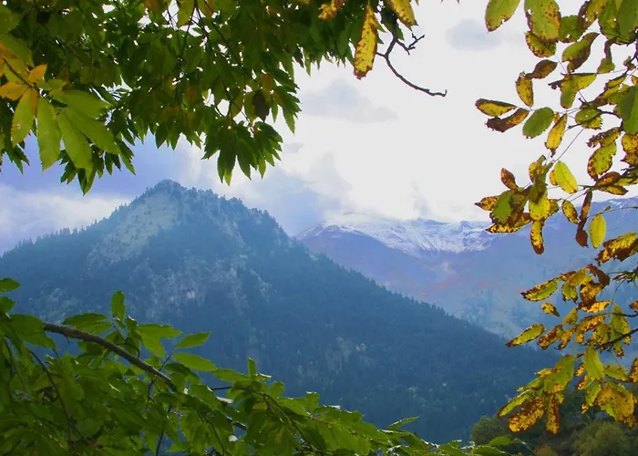 Evilion Traditional Plakoton