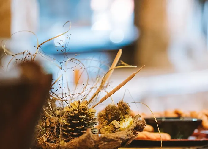 Evilion Traditional 3*