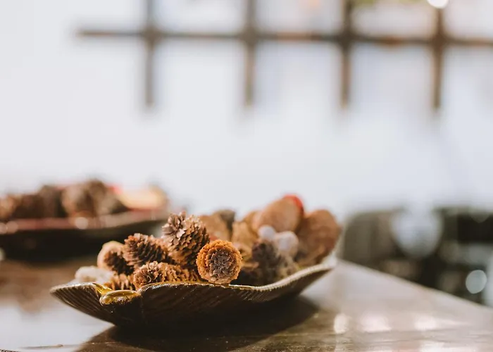 Evilion Traditional 3*