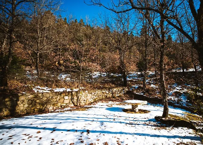 Evilion Traditional 3* Plakoton