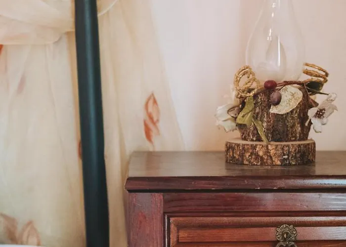 Evilion Traditional 3* Plakoton